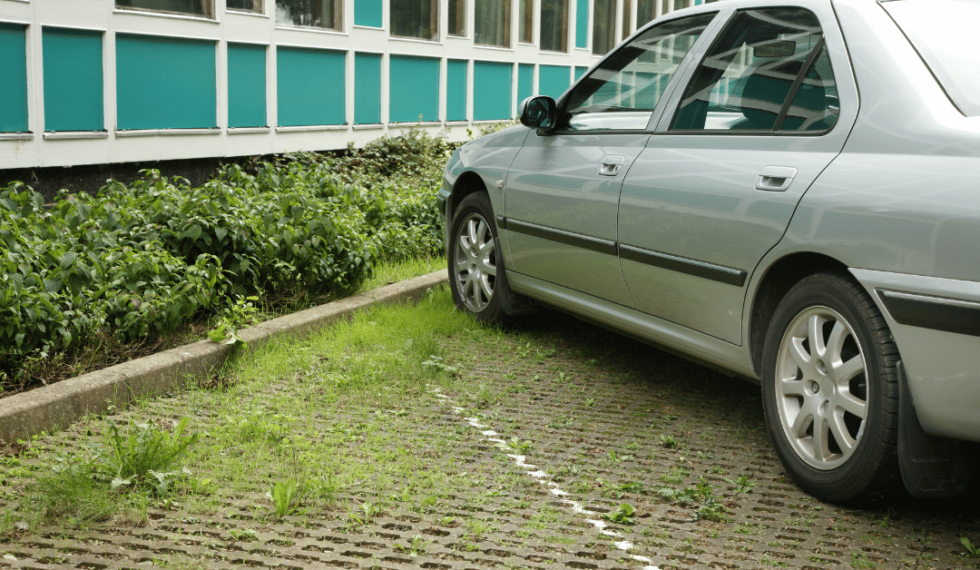 Permeable Concrete: Benefits and Limitations | Exelmix